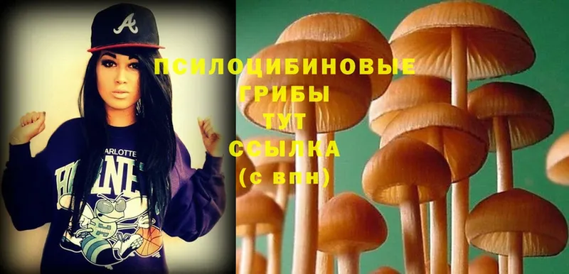 Псилоцибиновые грибы MAGIC MUSHROOMS  Приволжский 